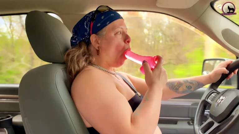 Driving Pleasure & Desperation