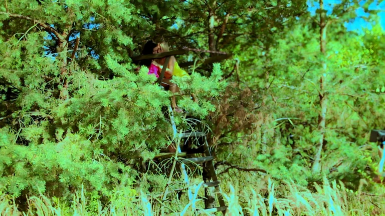 Sucking Pussy In Fresh Air